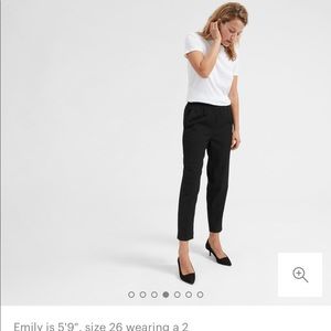 Everlane Go Weave Pants